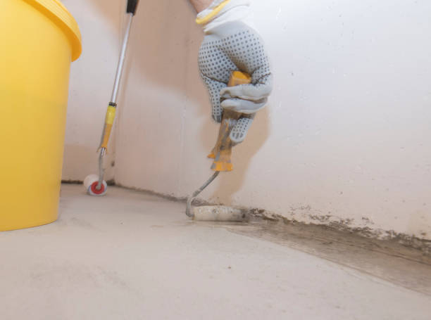 Best Real Estate Pest Inspections  in Casas Adobes, AZ